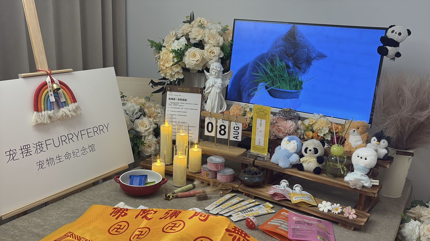 湛江宠物火化多少钱？港城火化收费全解析