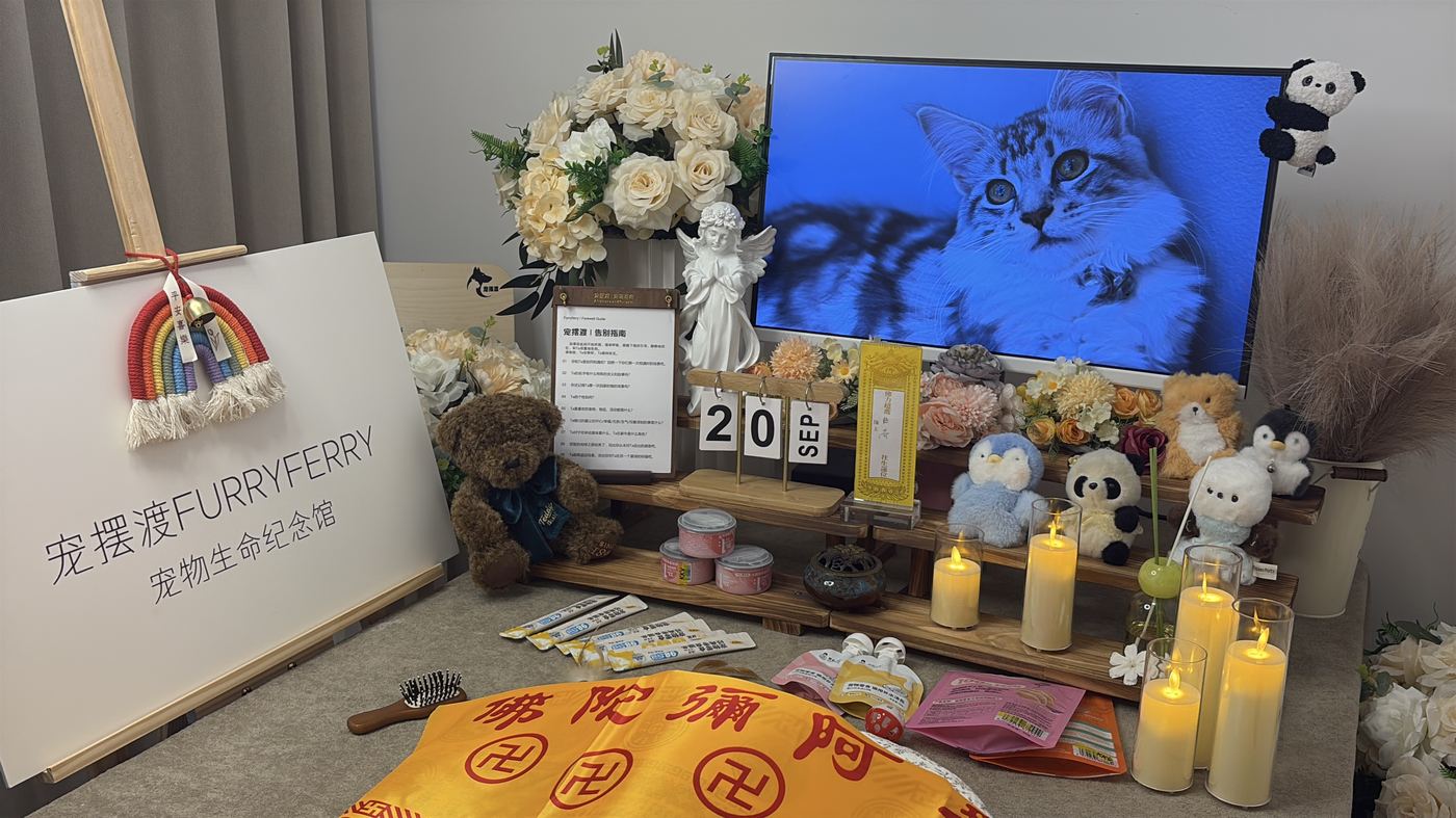 湛江宠物告别厅布置：如何给港城家属一个体面的告别