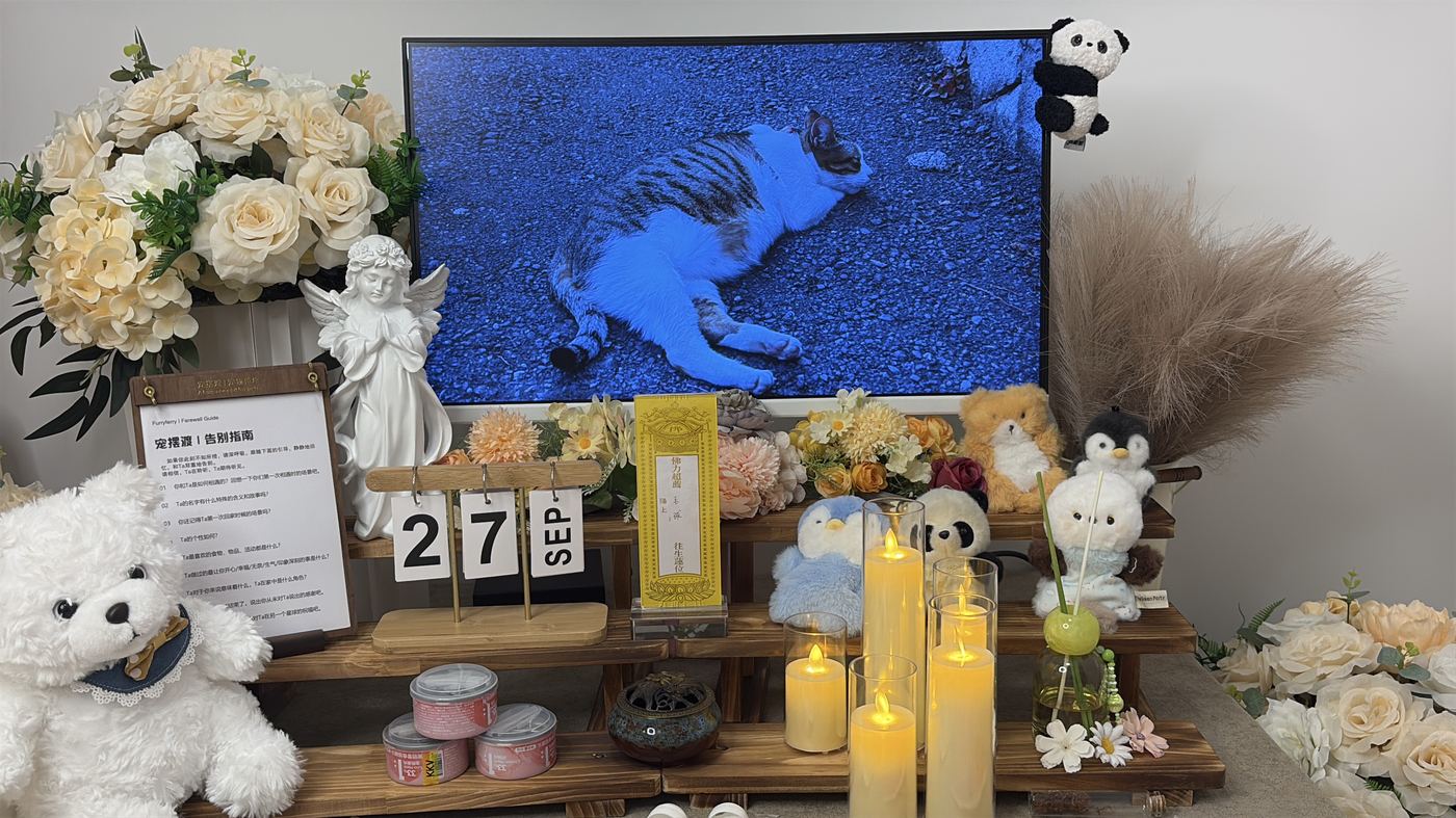 宠物纪念品怎么选？湛江常见纪念方式盘点