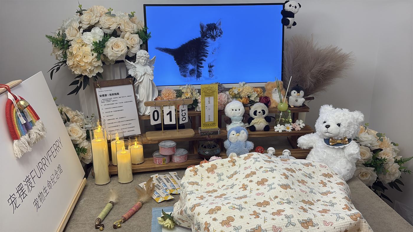 节日期间宠物殡葬服务安排：湛江春节与清明假期指南