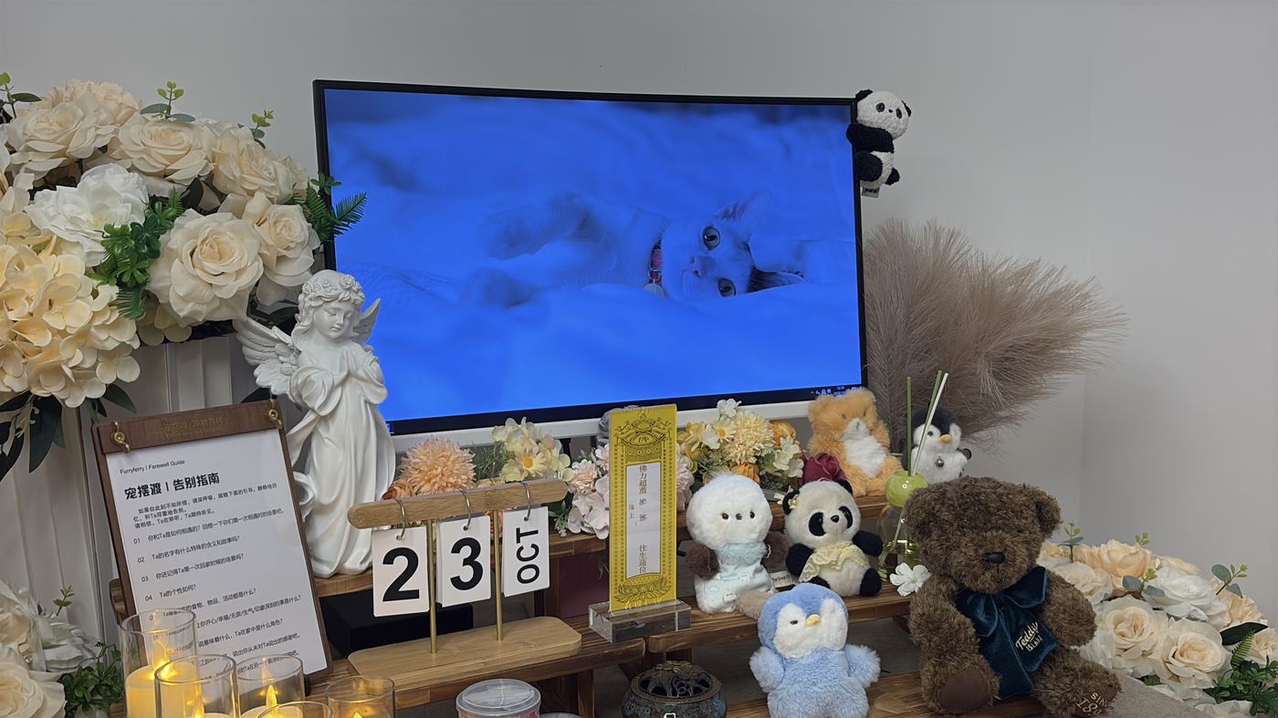一、办理全流程说明