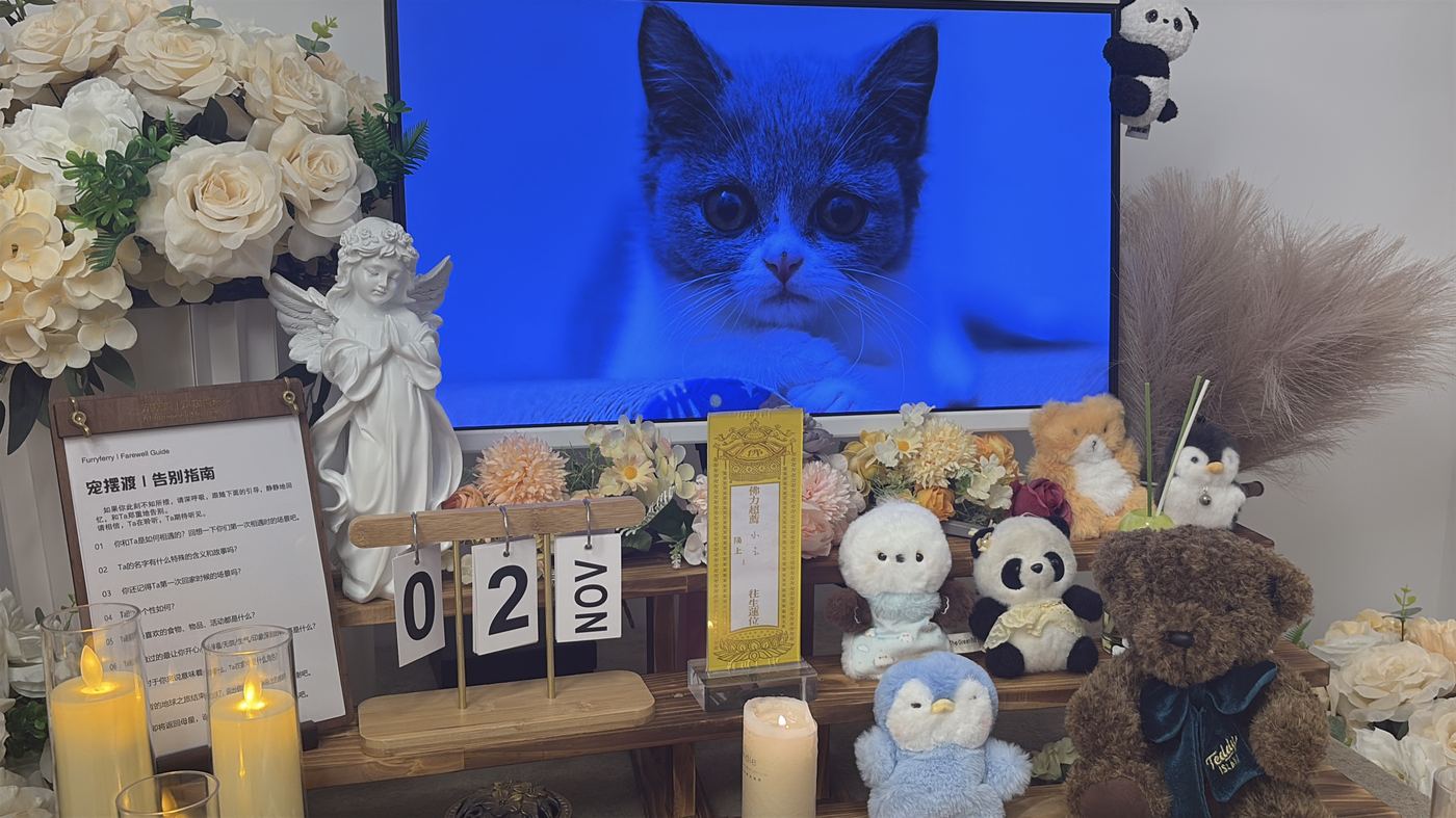 这段时间的陪伴方式